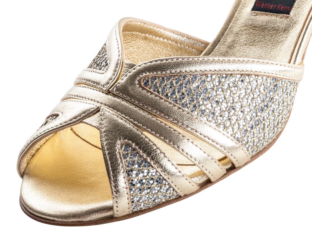 Detailed view of the Nueva Epoca women's dance shoe in leather and brocade